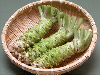 根わさびの保存方法